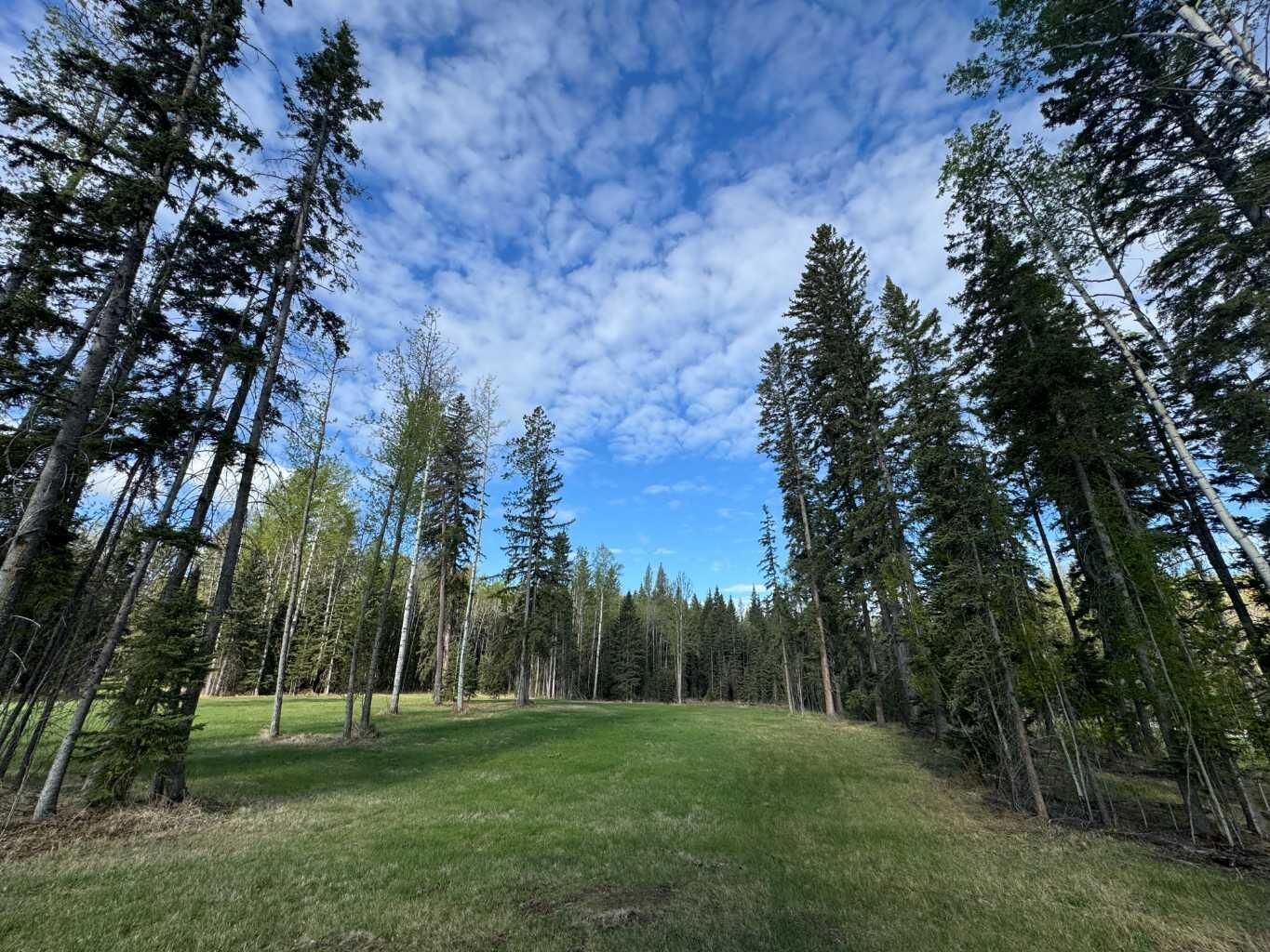 Property Photo: 153 Meadow Ponds Drive AB T4T 1A7