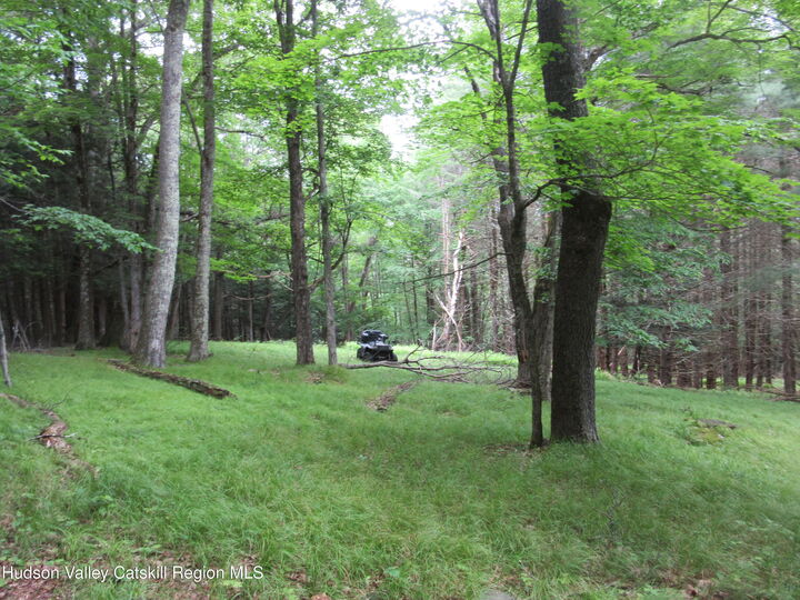 Property Photo:  0 Airport Rd, Lot#1  NY 12452 