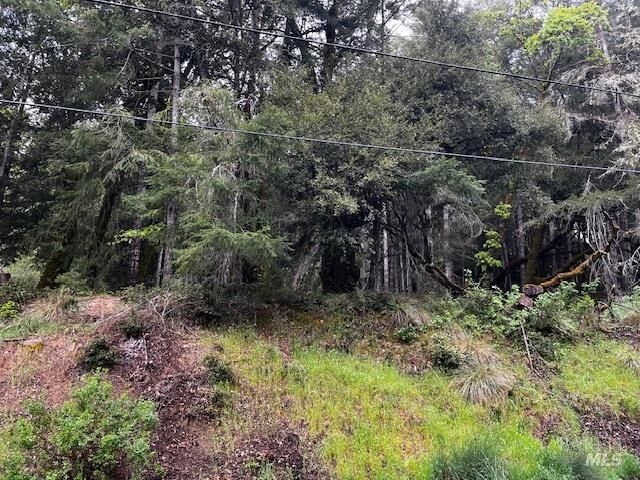 Property Photo:  24403 Cypress Drive  CA 95490 