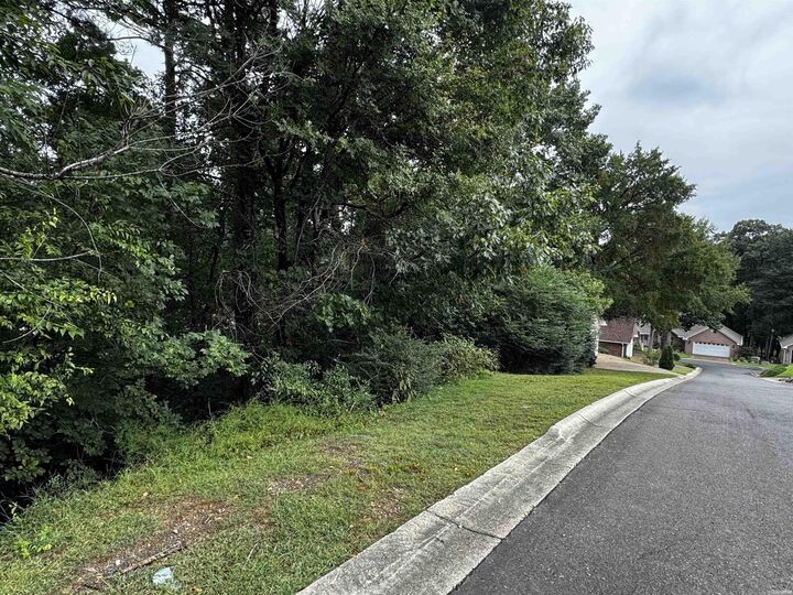 Property Photo:  Lot 28 Forest View Circle  AR 71913 