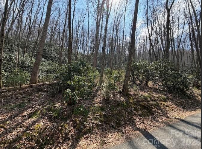 Property Photo:  Tbd Coyote Hollow Road 66  NC 28785 