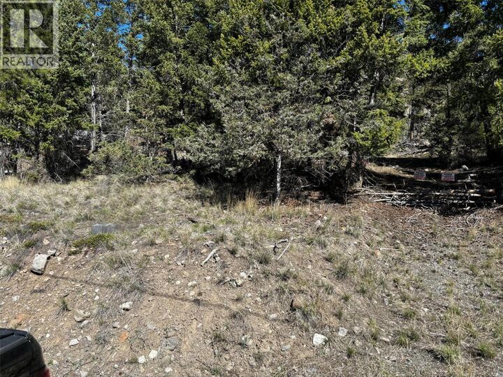 2971 Loon Lake Road — photo 1