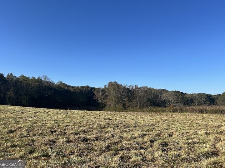 Property Photo:  0 Old Columbus Road  GA 30108 