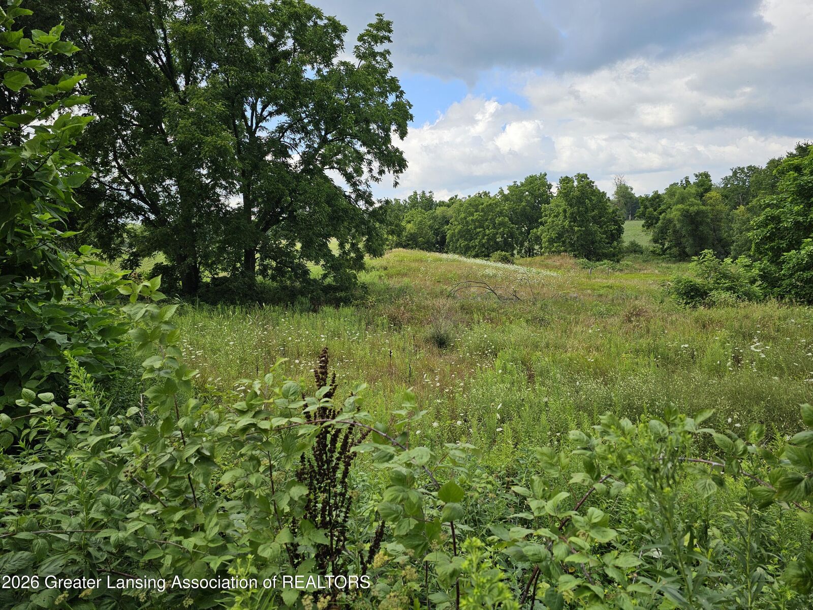 Property Photo:  8475 Ross Road  MI 48860 