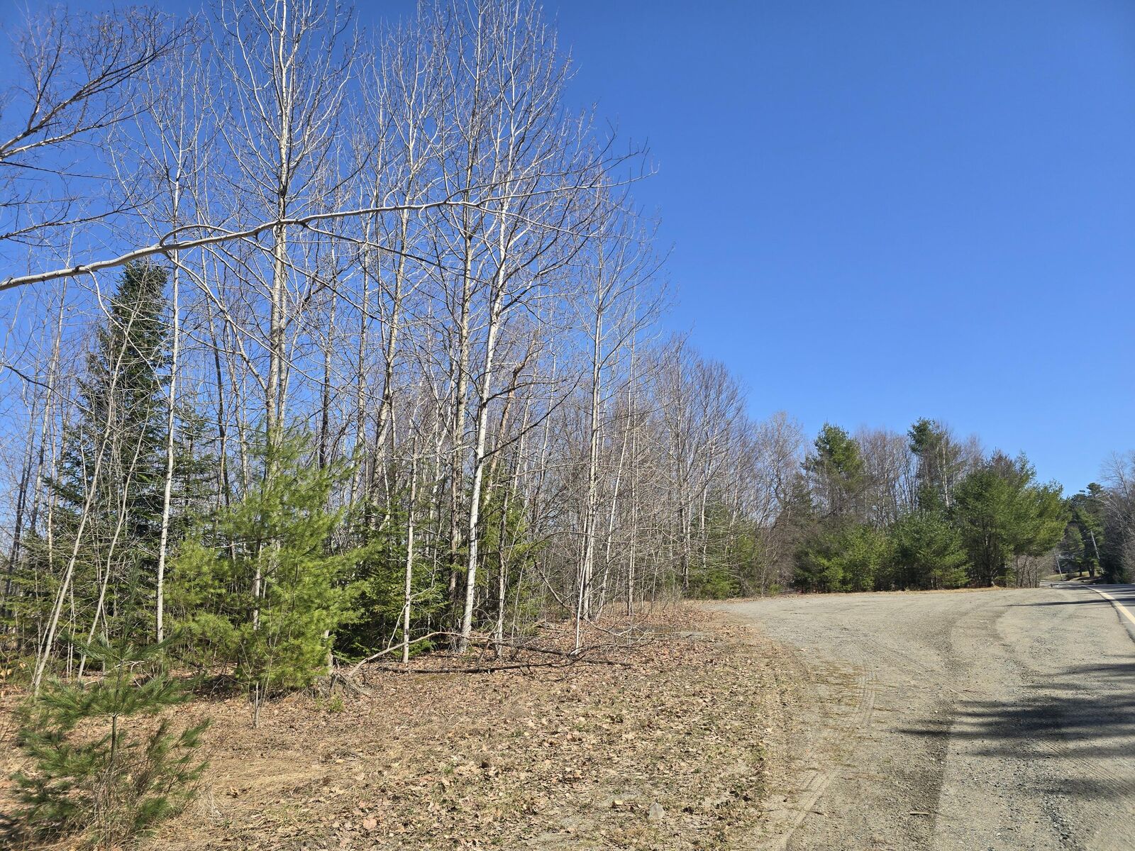 Property Photo:  436 Pattagumpus Road  ME 04460 
