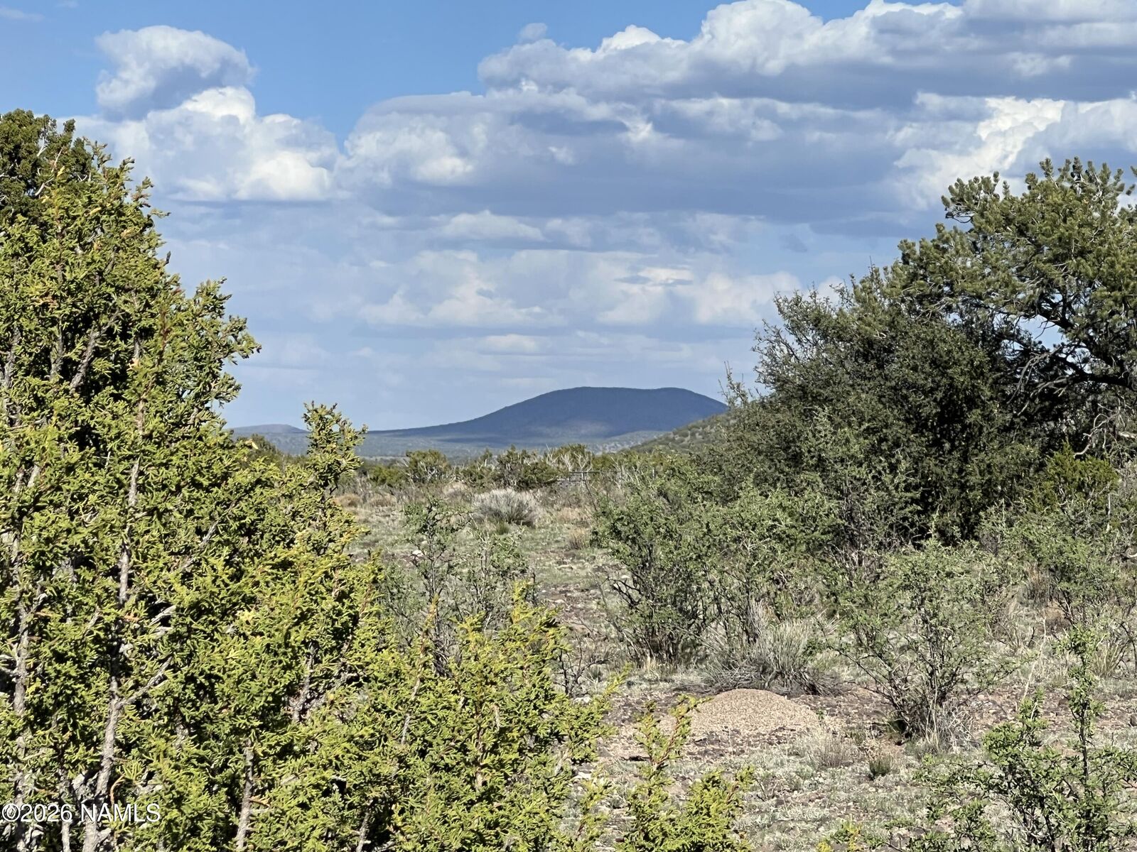 Property Photo:  4800 Whitetail Loop  AZ 86046 