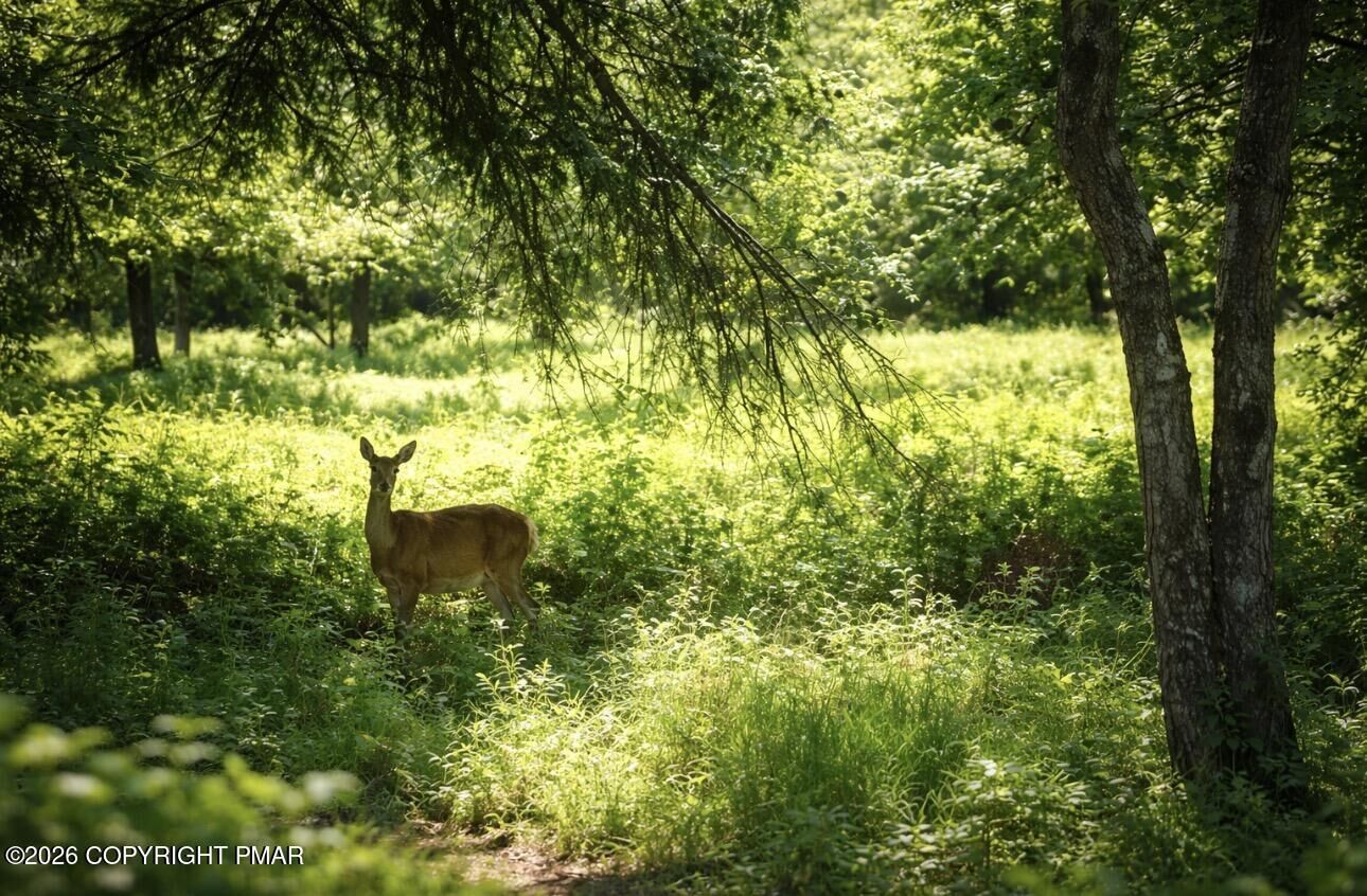 Property Photo: Wintergreen Trail PA 18210