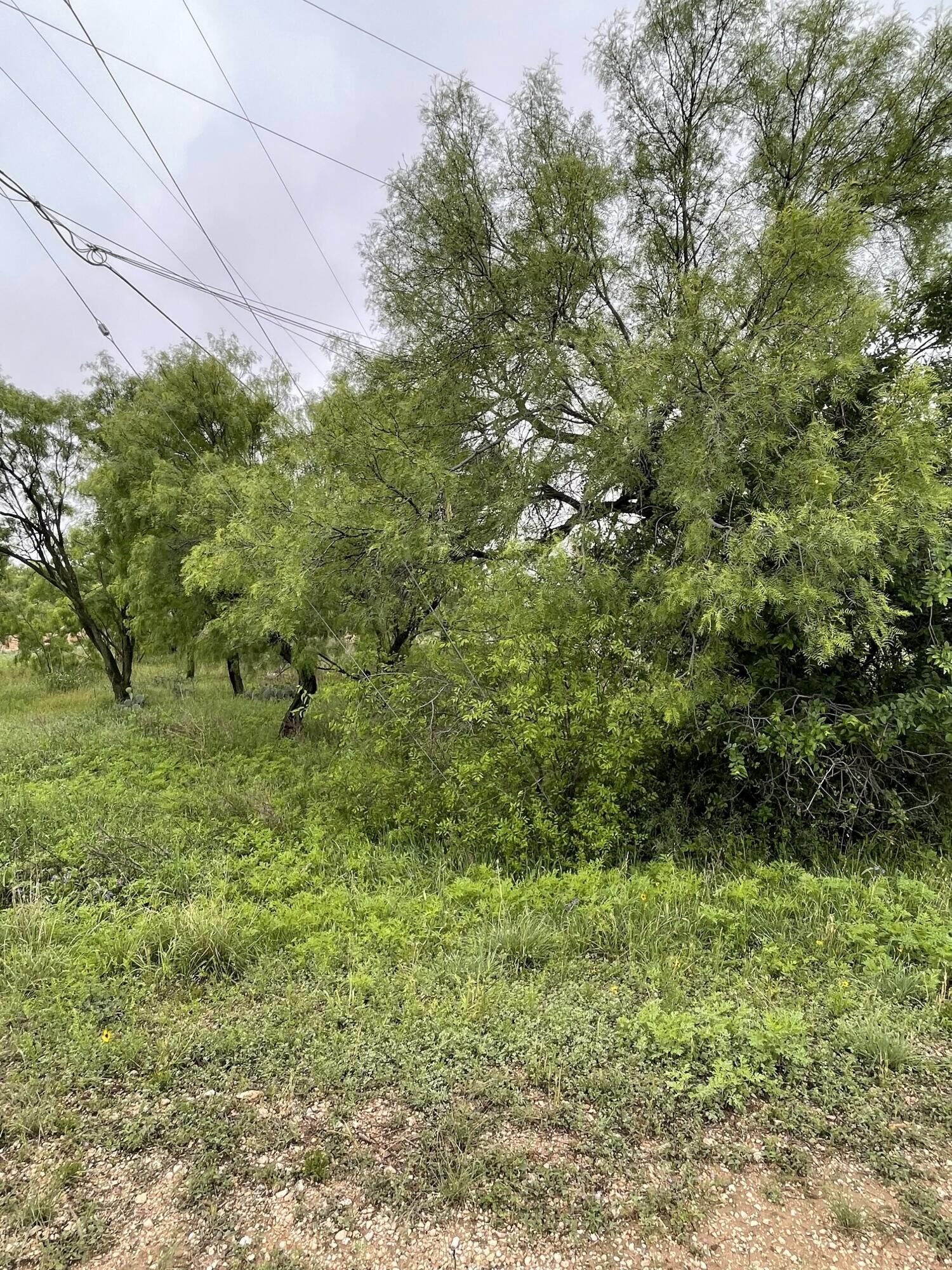 Property Photo:  541 Lake View Heroes Drive  TX 76903 