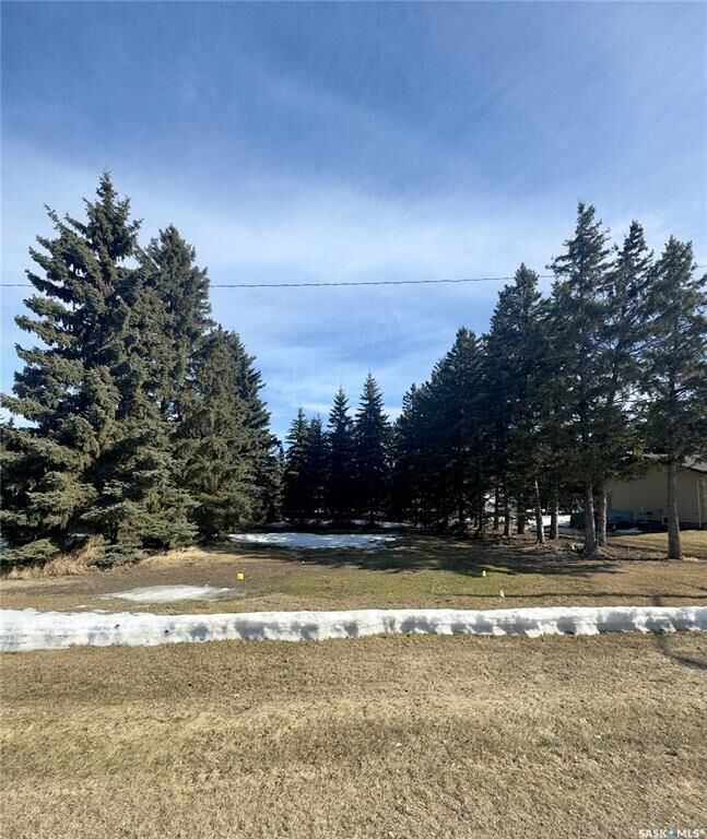 Property Photo:  315 2nd Street  SK S0K 4R0 