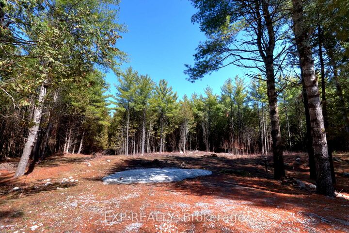 593 County 40 Road — photo 1