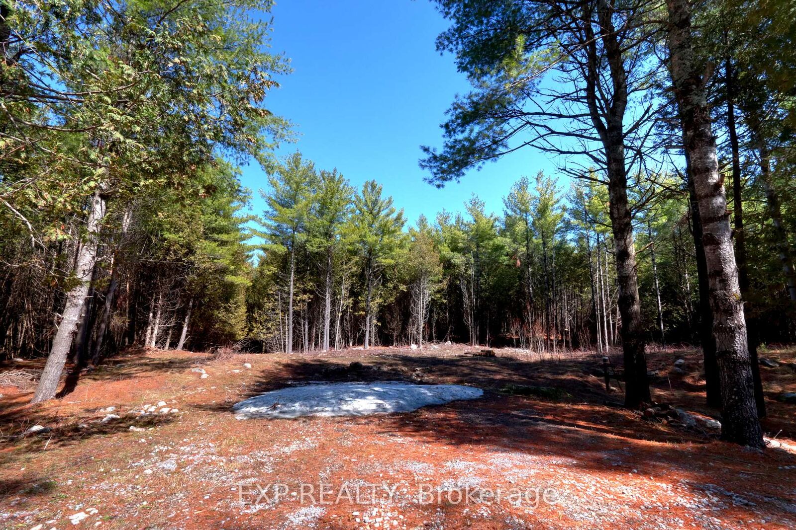 Property Photo:  593 County 40 Road  ON K0L 2V0 