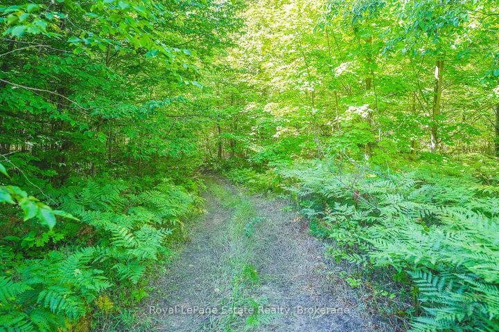 Property Photo:  Lot 3 Sixth Street  ON N0H 2G0 