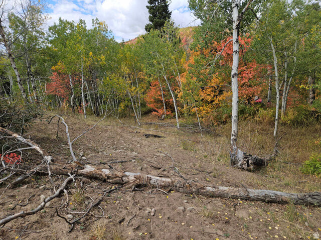Property Photo:  30 E Deer Valley Dr S K30  UT 84629 