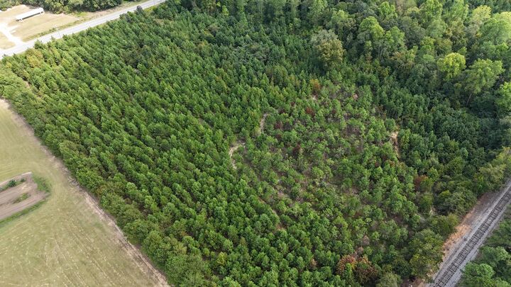 Property Photo:  00 Old Number 6 Hwy  SC 29047 