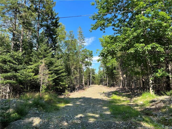 Property Photo: - Hills Point Road NB E3L 4J6
