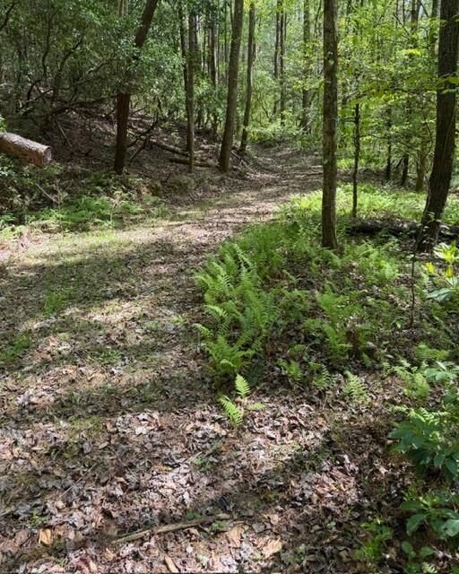 Property Photo:  348 Hemlock Trail  GA 30540 