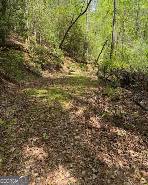 Property Photo:  348 Hemlock Trail  GA 30540 