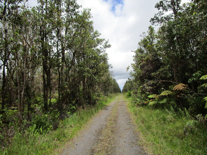 Property Photo:  Pilo St  HI 96771 