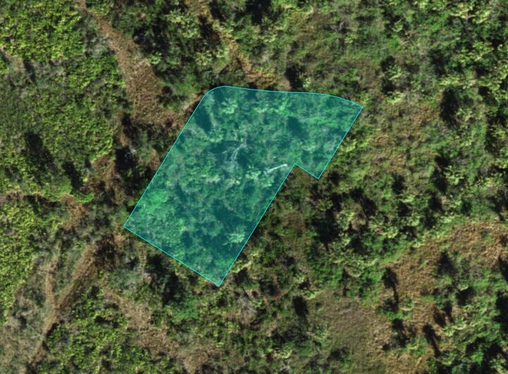 Property Photo:  1516 Casabella Terrace  FL 33983 