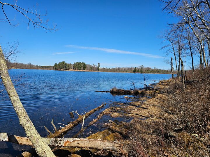 Property Photo:  Tbd Tract B Swanson Road  MN 56444 