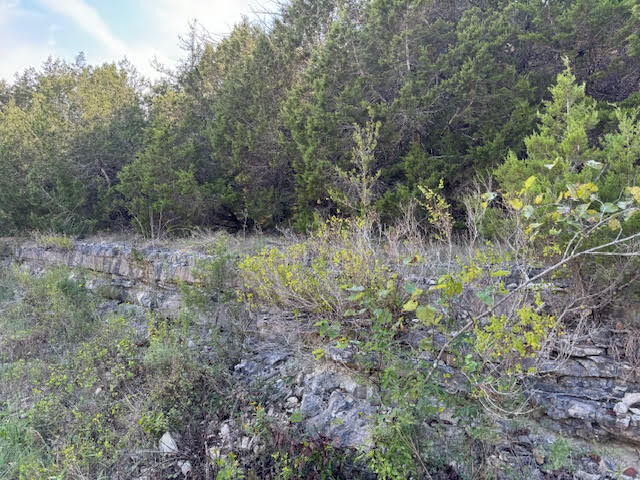 Property Photo:  270 Table Rock Drive  AR 72631 