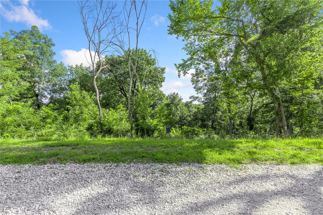 Property Photo:  Lot 90 Restore Circle  AR 72601 