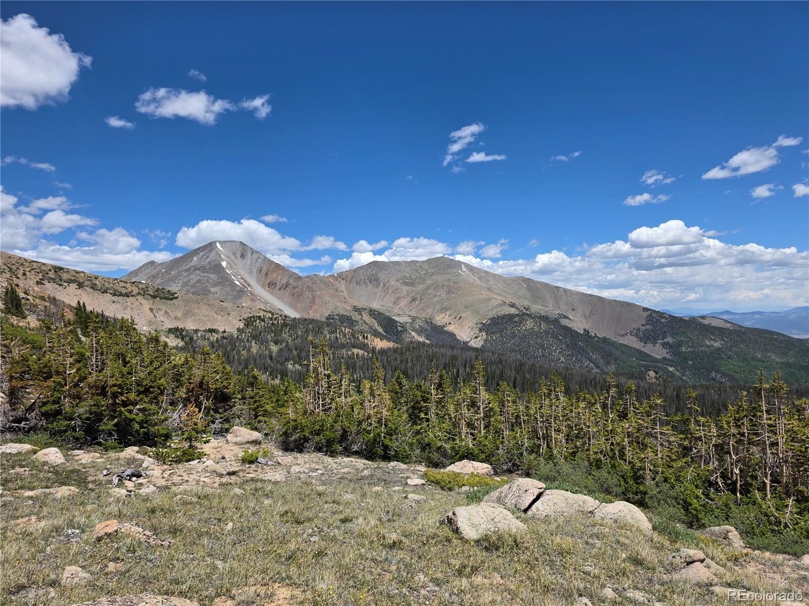 Property Photo:  17264 Cty Rd 230  CO 81201 
