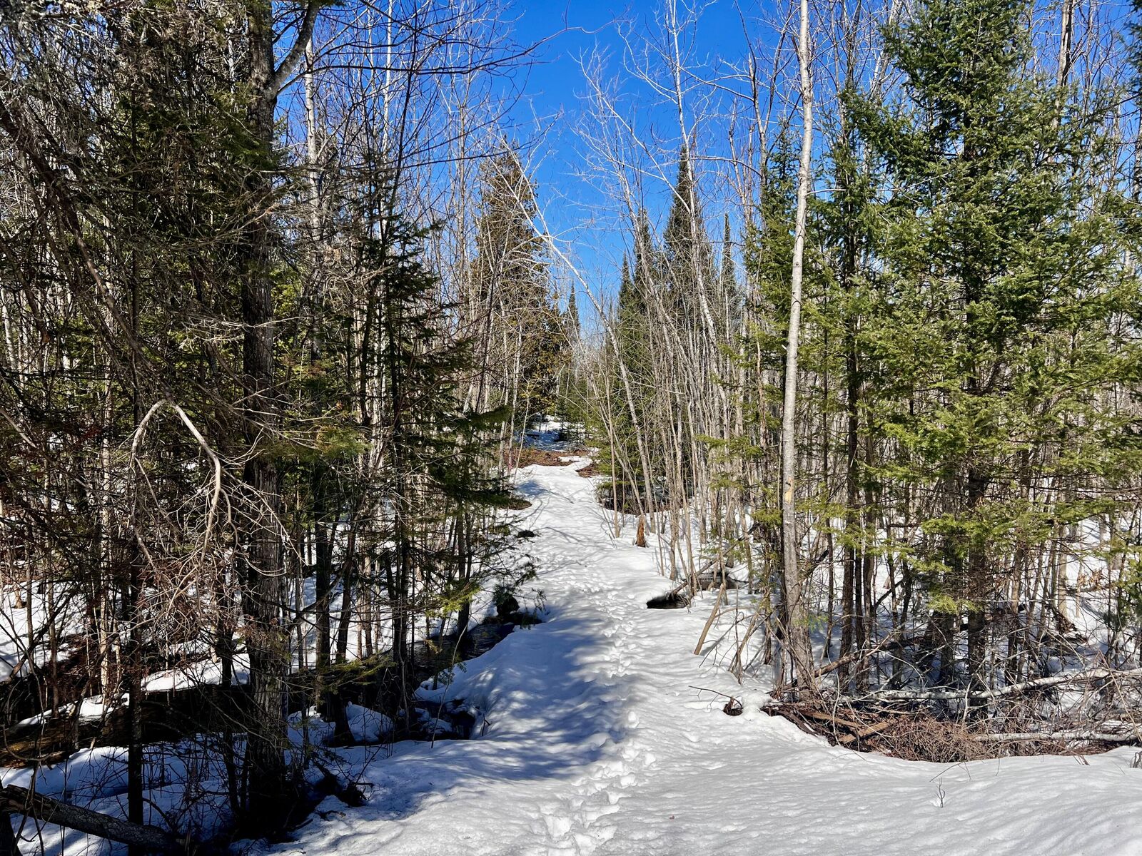 Property Photo:  40.44 Ac Zolner Road  MI 49721 