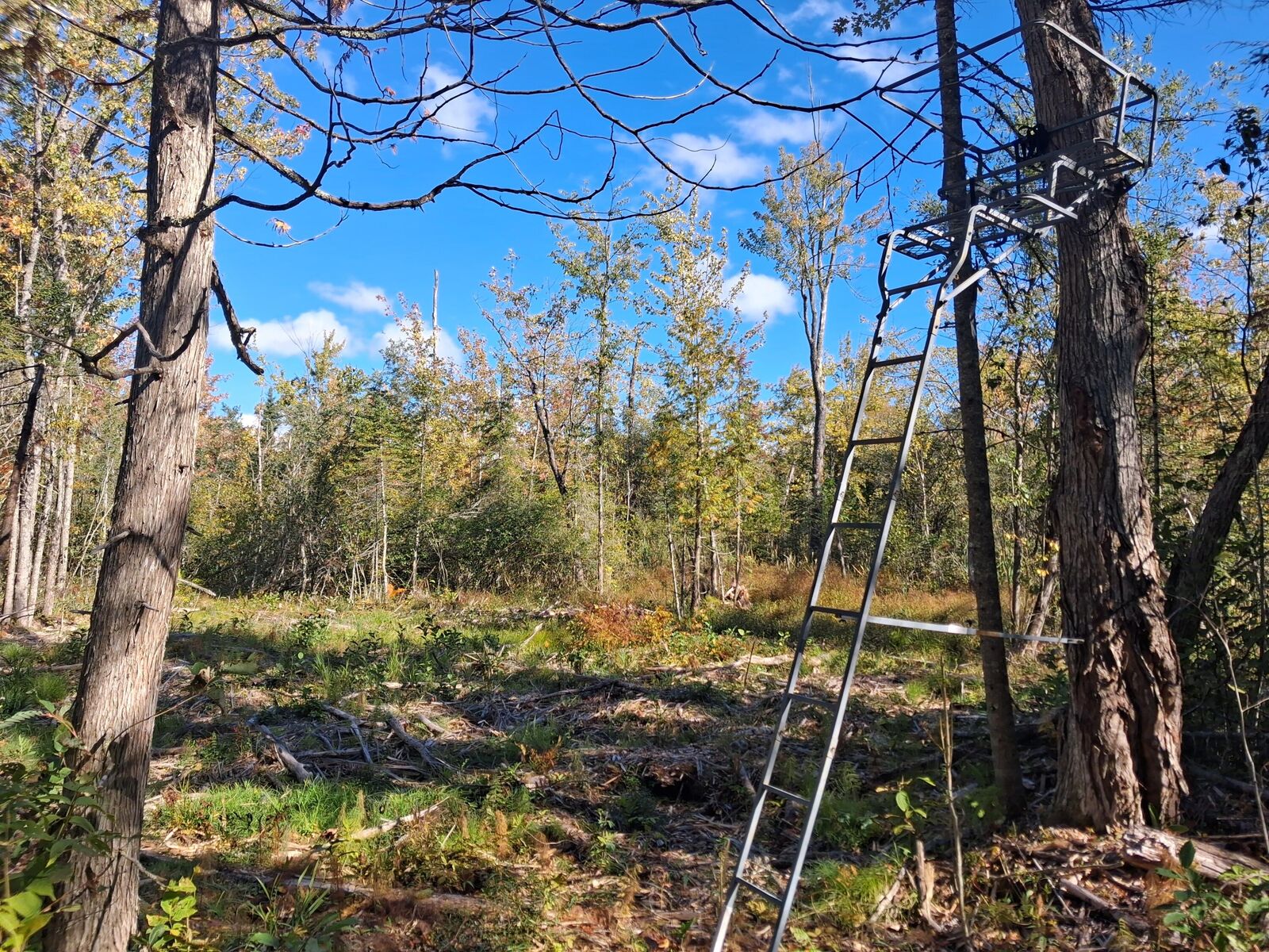 Property Photo: 40.44 Ac Zolner Road MI 49721
