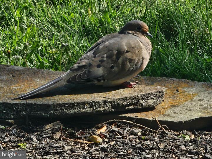 Property Photo:  55 Ewingville Road  NJ 08638 