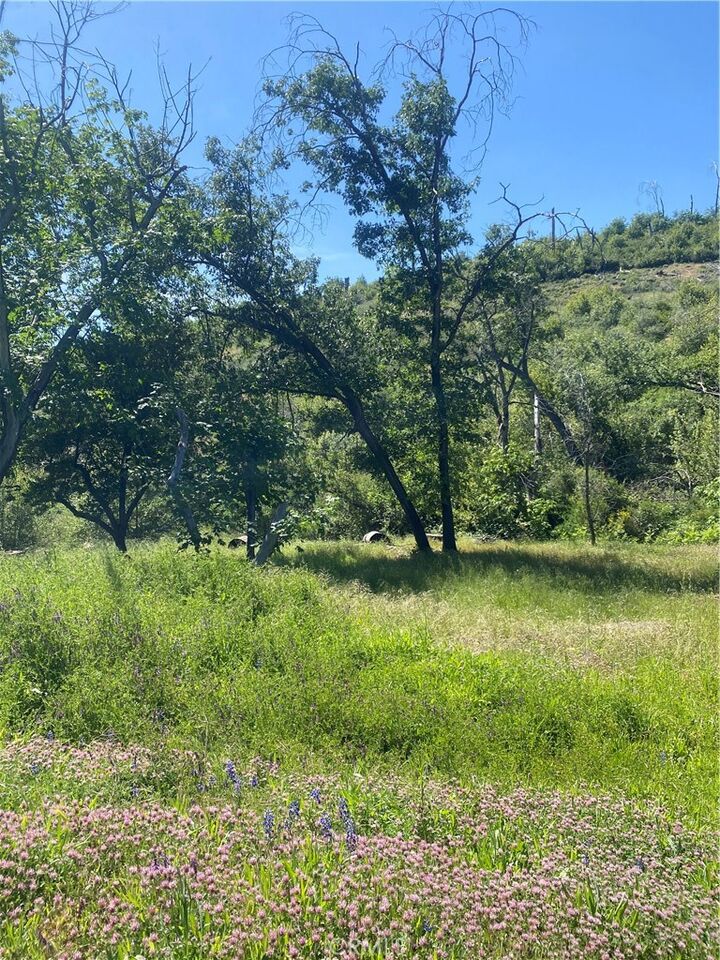 Property Photo:  1237 Storybook  CA 95969 