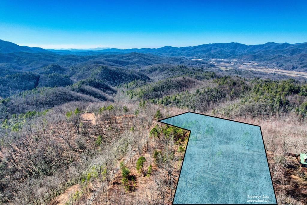 Property Photo:  1441 Valley View Heights Lane  NC 28901 