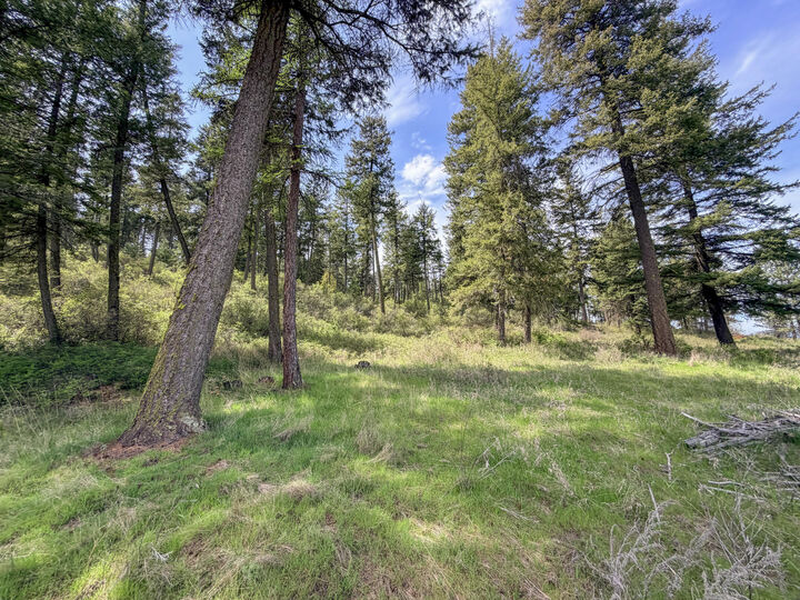 Property Photo:  822 J Barzee Rd  WA 99114 