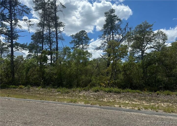 Property Photo:  8036 N Wayside Avenue  FL 34433 