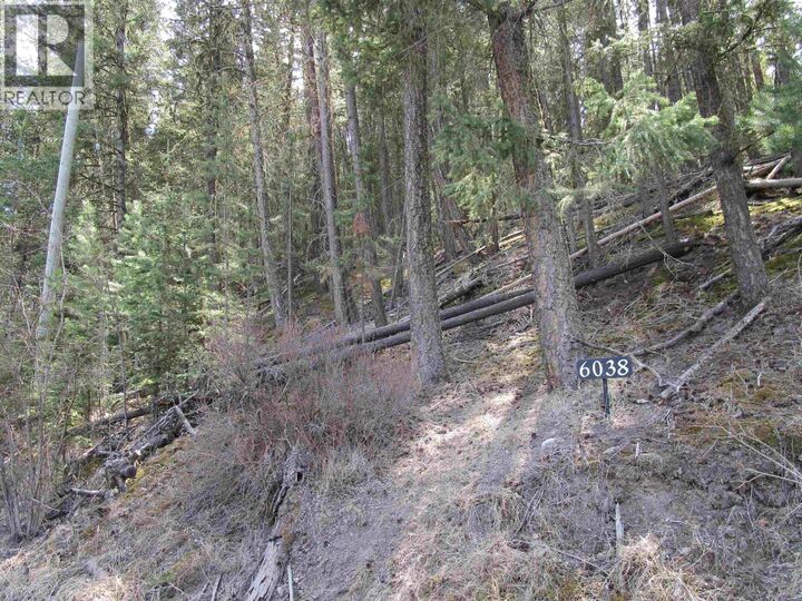 Property Photo:  6038 Easzee Drive  BC V0K 2Z0 