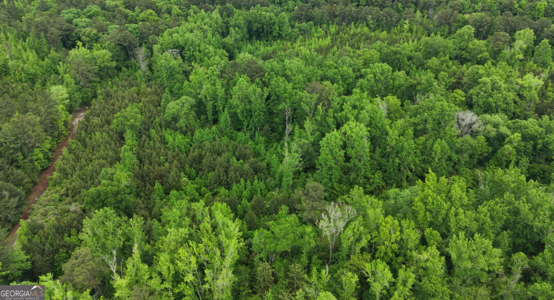Property Photo:  0 Dorton Creek Road  GA 31816 