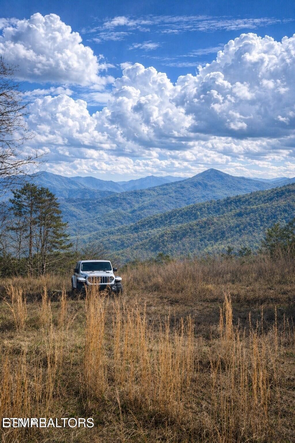 Property Photo:  1440 Goose Gap Rd  TN 37876 