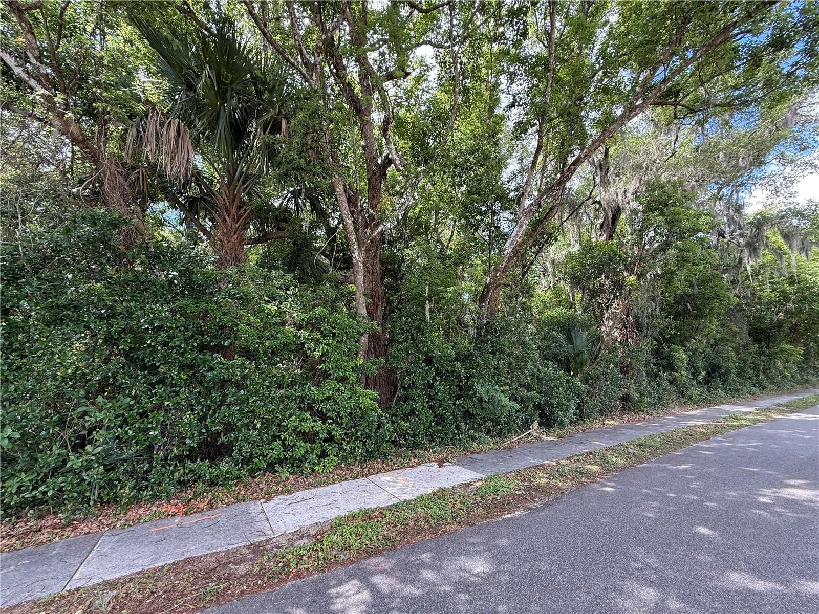 Property Photo:  Tbd King Avenue  FL 32798 