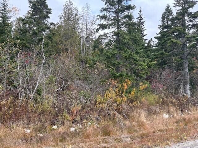 Property Photo:  0 Boot Cove Road  ME 04652 