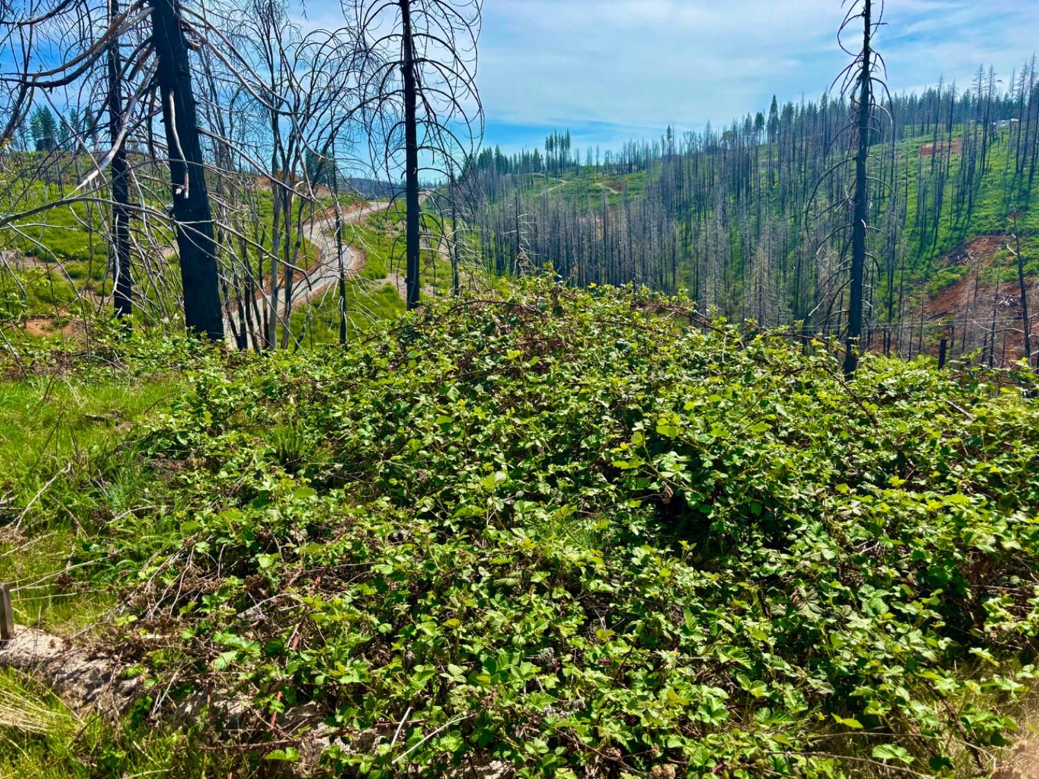 Property Photo: 4664 String Canyon Road CA 95684