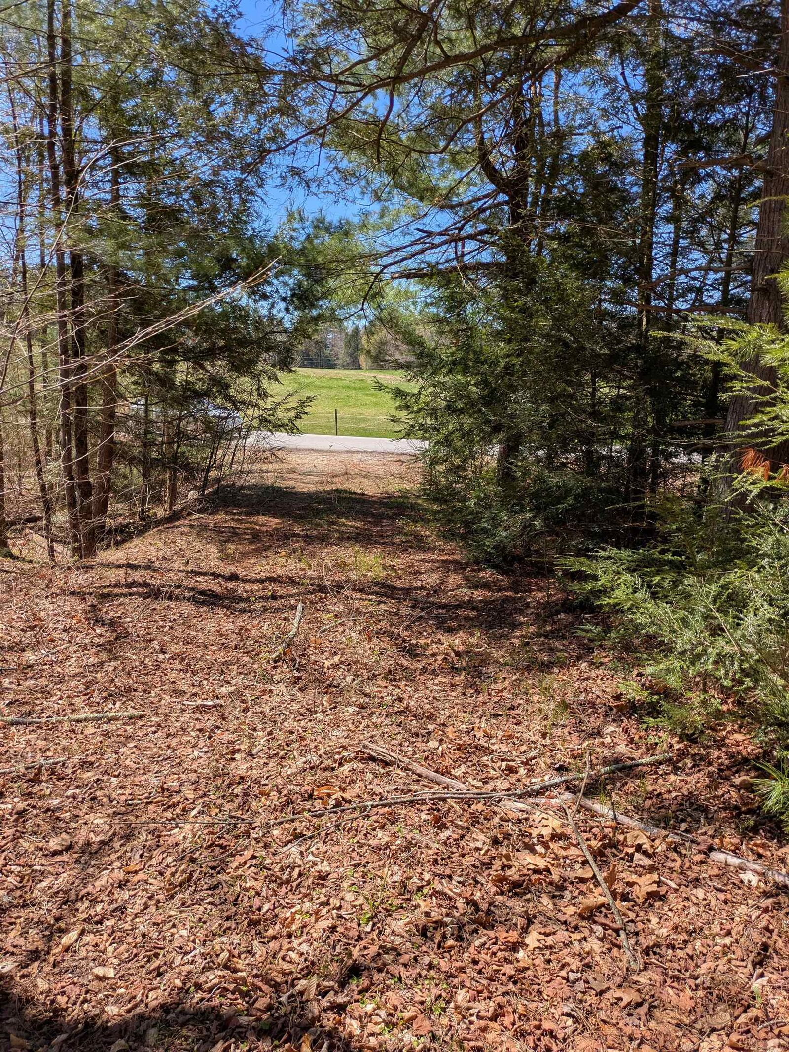 Property Photo:  South Scofield Mountain Road  NH 03470 