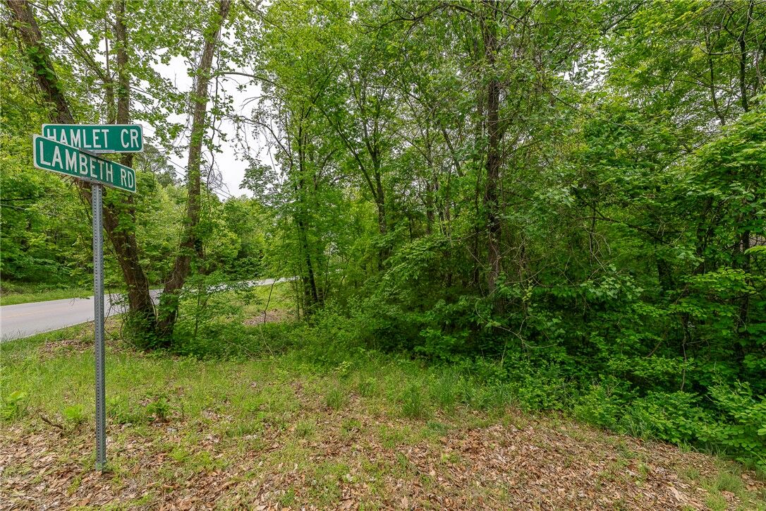 Property Photo:  Lot 4 Lambeth Road & Hamlet Circle  AR 72714 