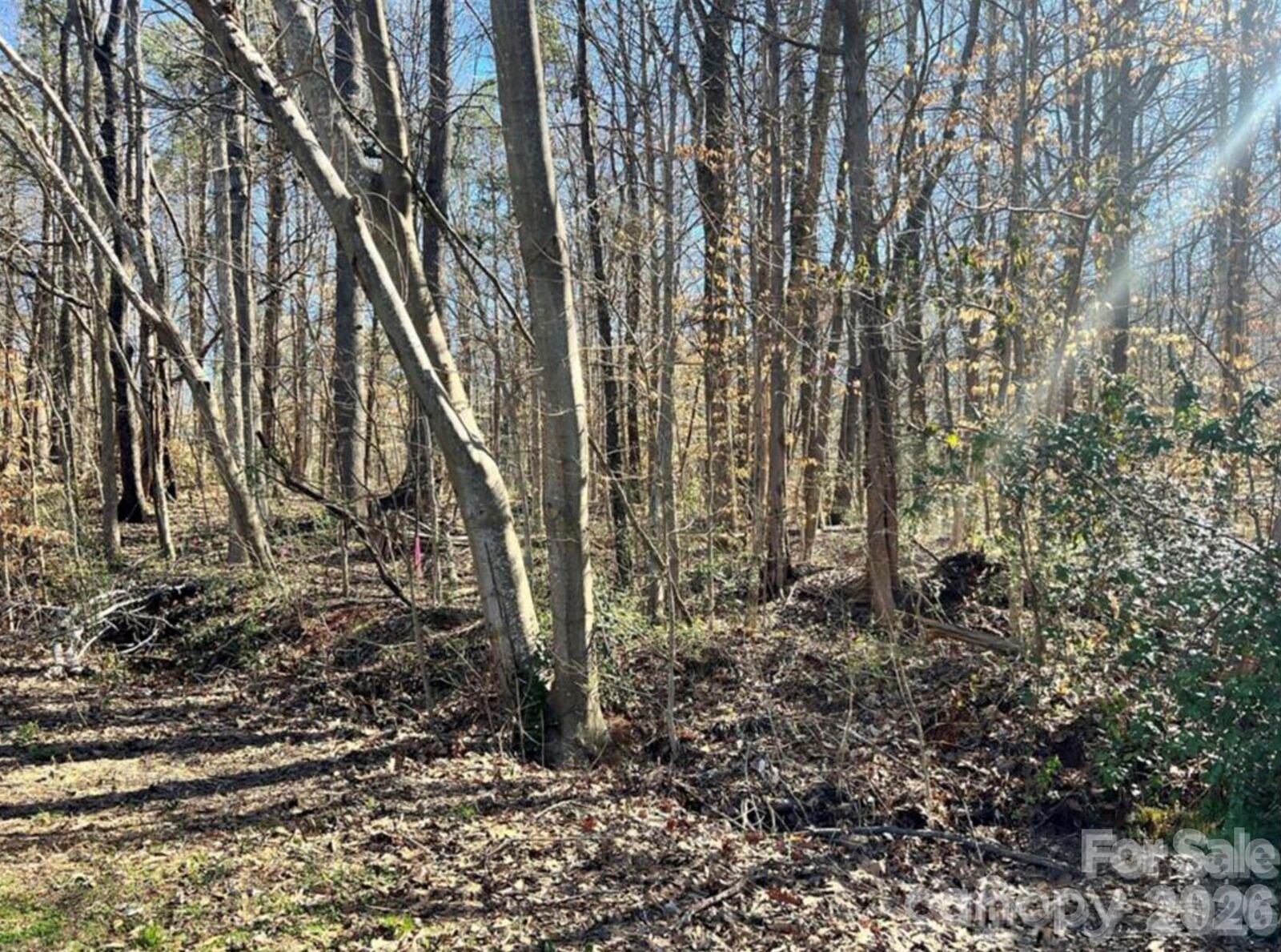 Property Photo:  02 Lurecliff Place  SC 29708 