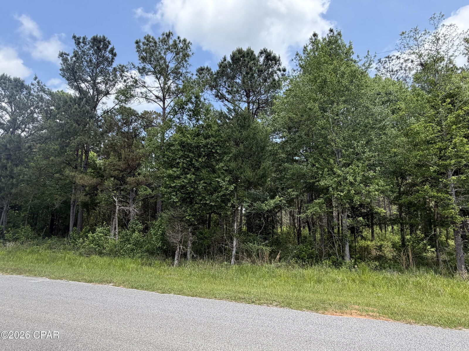 Property Photo:  000 Parrish Still Road  FL 32462 
