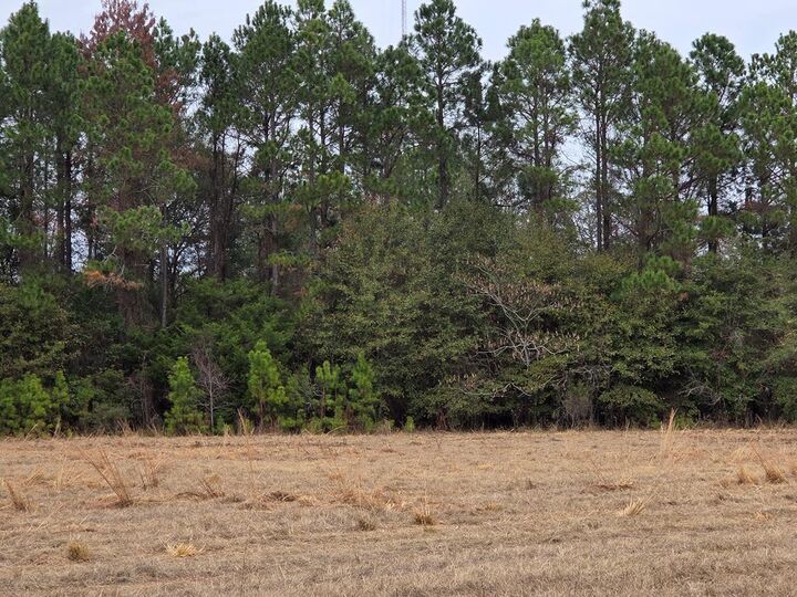 Property Photo:  118 Joe Wright Drive/New Harvest Road Lot D  GA 31015 