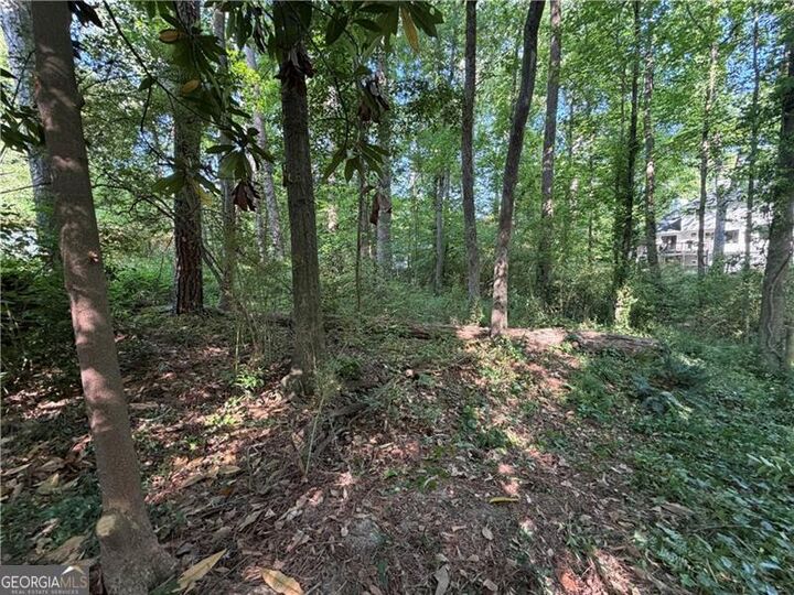 Property Photo: 0 Manning Drive GA 30009