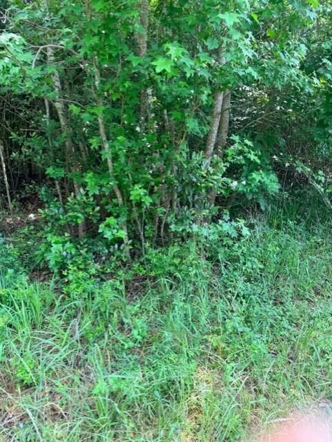 Property Photo: 14386 Baxter Road TX 77306