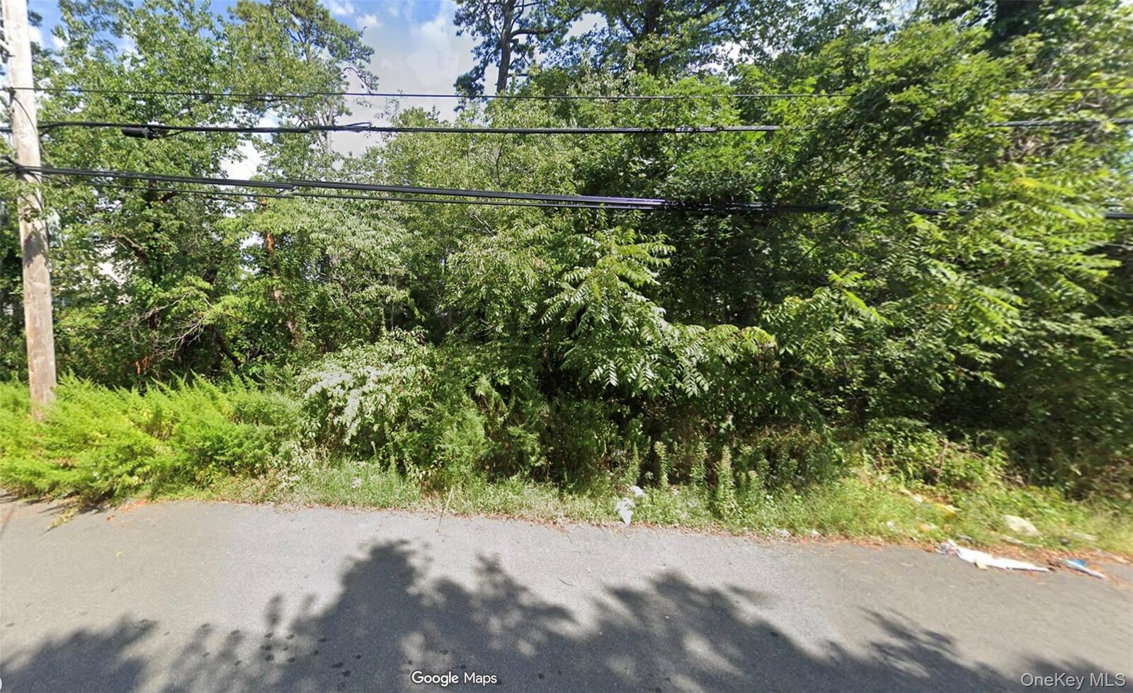 Property Photo:  95 Irving Avenue  NY 11798 