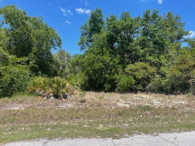 Property Photo:  Kissimmee Way  FL 34759 