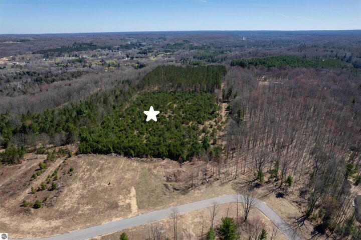 Property Photo:  Hoosier Valley Road  MI 49685 